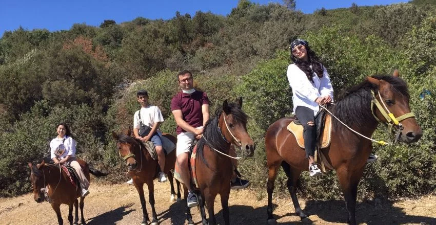 Bodrum Horse Riding Tour