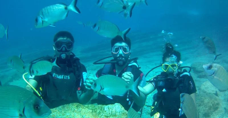 Bodrum Scuba Diving